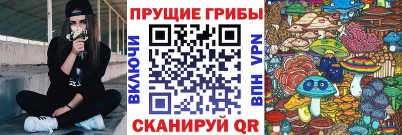 закладка  Октябрьск  Псилоцибиновые грибы Magic Shrooms 
